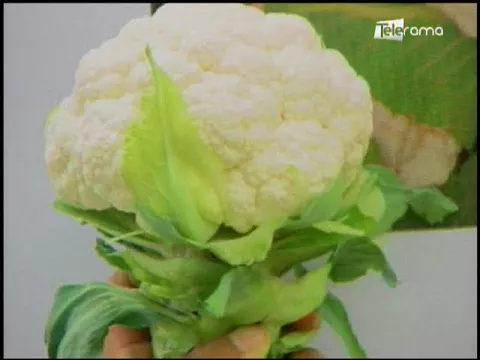 Ecuador Agropecuario 15-02-2018