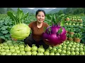 Download Lagu Havesting 100kg of Bok Choy \u0026 Kohlrabi in the Garden, Bring them to the Market to Sell with Family