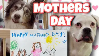 The Dogs Make a Mothers Day Card! (If that’s what you wanna call it 🤣)