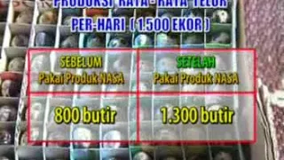 Download PUYUH NASA 089664387649 MP3