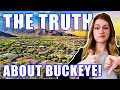 Buckeye Arizona Unveiling The Pros Cons Of Living In The Desert Oasis Moving To Buckeye Arizona