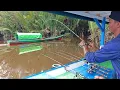 Download Lagu Baru kali ini di sungai paduan lepas di guyur hujan udang pada ganas makan umpan 