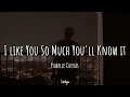 Download Lagu I Like You So Much, You'll Know It Cover by Ysabelle Cuevas ( Lyrics ) |  Terjemahan Indonesia