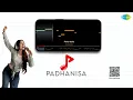 जाना हैरान सा | Jaana Hairaan Sa - Game Changer (Hindi) | Karthik | Shreya Ghoshal Songs