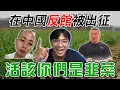 Download Lagu 中國「反館」被出征｜館長是土，你們是韭菜