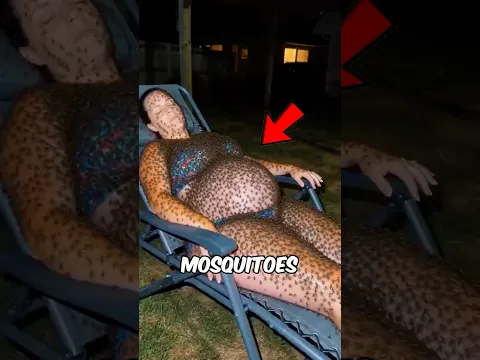 Mossquito Looks Different Under a Microscope! 🥶🤯