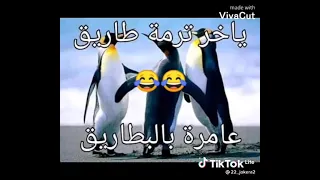 ترمت حنان عامرا بالبانان الجزء التاني 