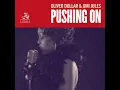 Pushing On (Delta Heavy Remix)