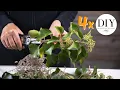Download Lagu 4x Natural Grave Decoration: DIY tutorial | All Souls' Day