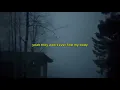 Sky Woods - When I'm Gone (Lyric Video)