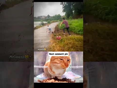 one step of funny😹🤣 #cat #react #memes #funny #explore #edit #shorts