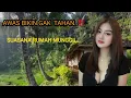 Download Lagu BABAS KELON TANPA IKATAN SUASANA RUMAH Terpencil TANPA listrik TENGAH HUTAN PULAU JAWA..