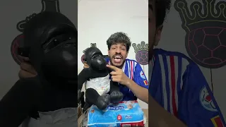 جماعت الحفاضات   فودي  اكسبلور دندنها