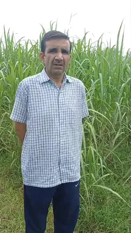 मुजफ्फरनगर के कपिल अहलावत नैनो यूरिया के इस्तेमाल से क्यों हैं इतने गदगद