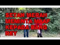 Download Lagu Saksikan Ucup dragon bertobat Dan meminta maaf kepada bang Rey Lampung 