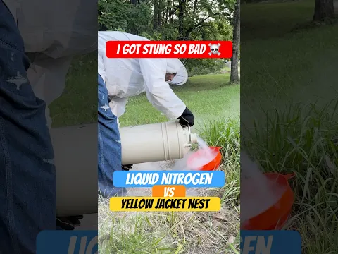 I got stung so bad! #liquidnitrogen  #experiements #scienceexperiment #wasp #waspremoval