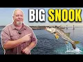 Sebastian Inlet Fishing Report July 2026 Big Snook Snapper Mackerel Are Biting