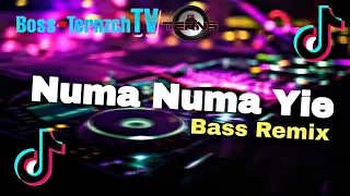 Download Numa Numa Yei Tiktok Viral Song 2021 - Dj TERNS (Bass Remix) MP3