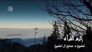 الزم القرآن دندنها