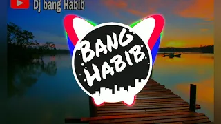 dj lagi vilar wik wik aisyah masuk pak eko slow remix