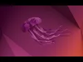 14 - Ubuntu Tutorial