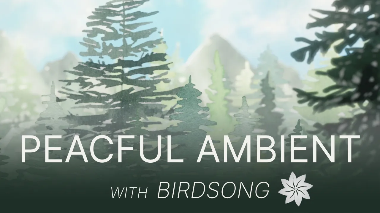 Animacja