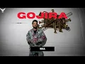 Gojira || Ikka || Blood is Better Than Tears EP || Offical Audio || New Music ||