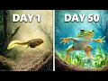 Download Lagu Raising Tadpoles into Frogs (50 Day Evolution)