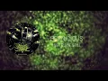 🎧 💀  SIGNS OF THE SWARM | Pernicious (INSTRUMENTAL)