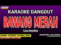 Download Lagu BAWANG MERAH KARAOKE DANGDUT - CACA HANDIKA