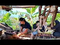 Download Lagu NIKMATnya Makan Bersama Di Saung Kebun, SATE DAGING SAPI BUMBU KECAP + NASI TIMBEL