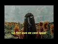 BELA FLOR| MARIA GADU | SUBTITULO ESPAÑOL