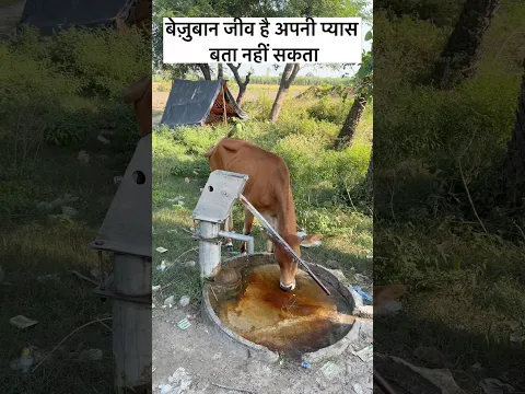 Safe water 💧 #viral #water #help #viralvideo