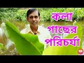 Lagu Caring for Banana Tree|| কলা গাছের পরিচর্যা