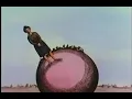 TOOL - the pot