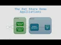 Pet Store Demo Applications Setup Angular React Node js Spring Boot IEEETSE2025