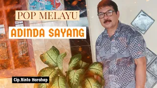 Download ADINDA SAYANG - Reinhard Manduapessy (Cover) | Lagu Pop Melayu MP3