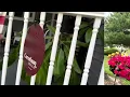 Corinthian Bells by Wind River 65 inch Copper Vein Wind Chime for Patio Backyard Garden Review