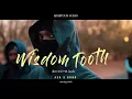 WISDOM TOOTH - ASH & KODO