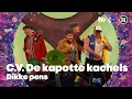 C.V. De Kapotte Kachels ft Rene van Rooij - Dikke pens // Sterren NL Carnaval 2025
