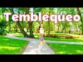Lagu Temblequeo by Luke | Zumba | Salsa | Reggaeton | Zin™ Volume 113