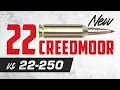 22 Creedmoor vs 22-250 Remington