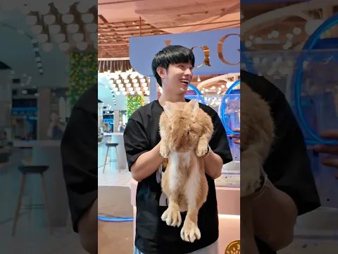 กระต่ายที่ใหญ่ที่สุดในโลกอยู่ในมือเราแล้ว🐰 หึหึ พบกันเร็วๆนี้ครับ