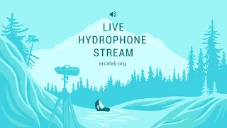 OrcaLab Live Hydrophone Audio