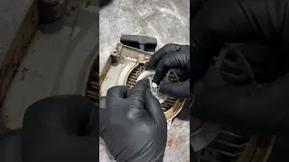                              دندنها