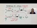 Simple Condensation polymerisation polymer explained using nylon GCSE