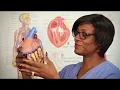 HEALTH UNIT COORDINATOR MONITOR TECH PROGRAM