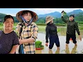 Download Lagu The fight between Thu's mother and Thu's ex-mother-in-law in the rice field