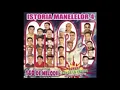 Leonard - De dorul tau - manele AllStars