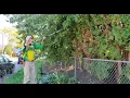 Download Lagu Near Impossible Sidewalk Cleanup for a Grateful Homeowner